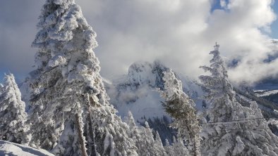 Winterwandern - Schneeschuhtour - Skitour, © Andreas Heiß