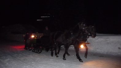 Kutschenfahrt zur Hämmermoosalm mit Sternenhimmel, © marlene