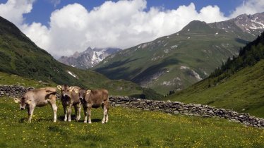 Der Natur nahe im Defereggental, © TVB Osttirol