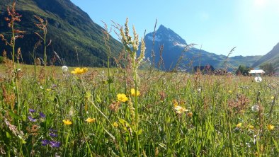 Ballunspitze, © Isabell Kathrein