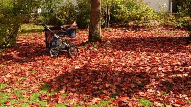 Der Herbst spielt mit tollen Farben im Garten Wassermann, © im-web.de/ DS Destination Solutions GmbH (eda35)