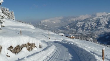 Rodelbahn Haagalm, © Haagalm