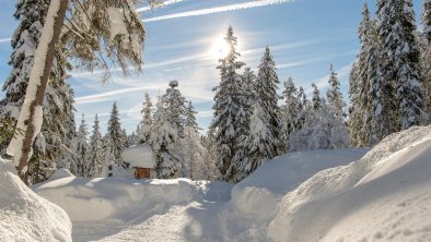 Winterwanderweg in Leutasch, © Region Seefeld, Johannes Geyer