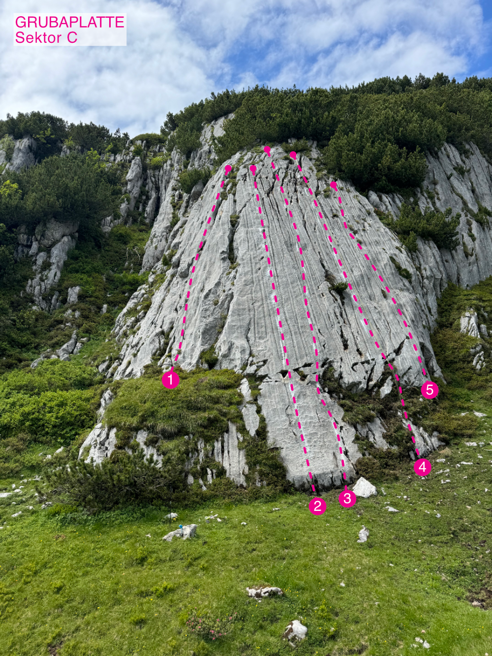 Topographie