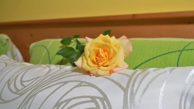 Eine Rose aus meinem Garten