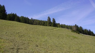 Sommer in Bruck am Ziller