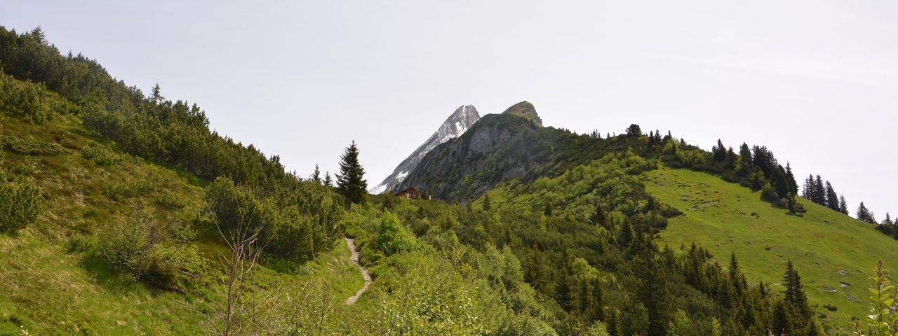 Bergmähderweg Brandberg bis zum Kolmhaus, © Hochgebirgs-Naturpark Zillertaler Alpen